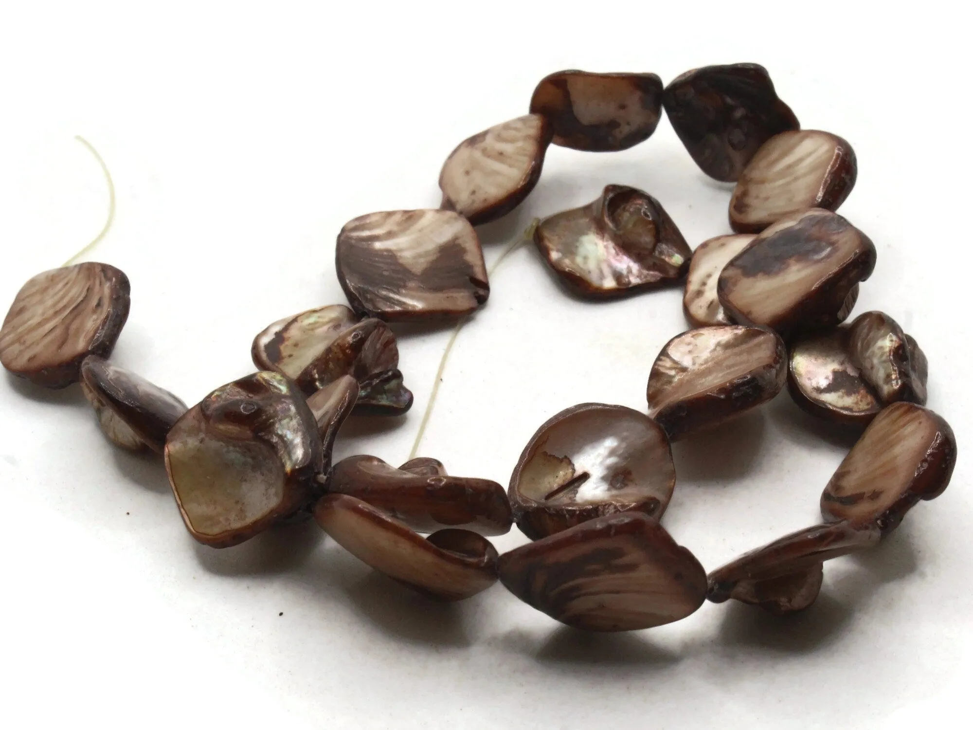 20mm Dyed Brown Diamond Seashell Beads 16 Inch Mother of Pearl Bead Strand